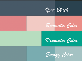 Zyla's Seasonal Color System: An Overview